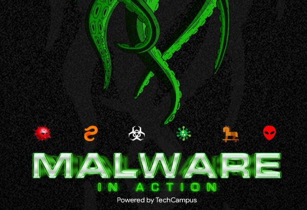 Malware in Action