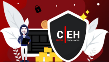 الاختراق الاخلاقي المعتمد CEH v12